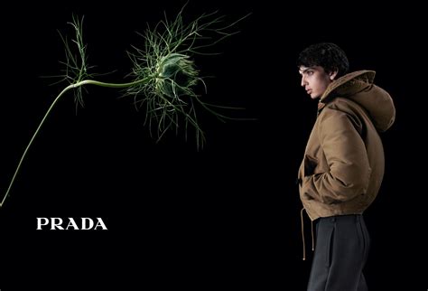 prada fall 2018 campaign|prada campaign 2023.